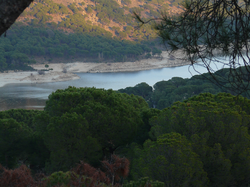 Vista al lago desde dentro de un chalet